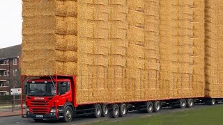 Dangerous Cow Transport with Automatic Milking & Stunning Farm Girl - Volvo Calf and Hay Bale