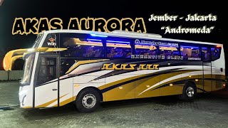 Pemain Lama Rute Baru Mampukah Bersaing? | AKAS AURORA | Armada Timur Seri 02 | Jember - Cileungsi