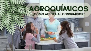 ¿Cómo afectan los agroquímicos a los consumidores?