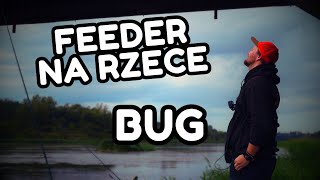 FEEDER NA RZECE BUG! CO UDAŁO SIĘ ZŁOWIĆ?