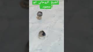 خواتم الملوك الروحانيه