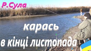 #Сула # Карась в кінці листопада #РибачуЯкУмію  : Частина №1.