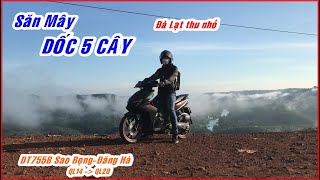 SĂN MÂY DỐC 5 CÂY - ĐÀ LẠT THU NHỎ ở Bù Đăng DT755B