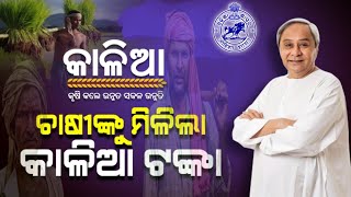 Kalia yojana new update | ଚାଷୀଙ୍କୁ ମିଳିଲା କାଳିଆ ଟଙ୍କା