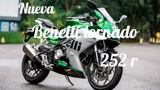 Benelli tornado 252r - lanzamientos - Bikersland