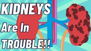 Top 6 Conditions that REALLY RUIN your kidneys | chronic kidney disease causes | Kidney failure