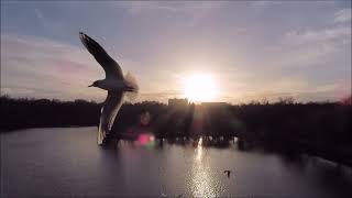 Airplanes filmed from Tineretului park, January 18/ 2023