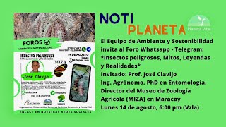 Insectos peligrosos, Mitos, Leyendas y Realidades, un Foro que no te puedes perder