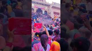 Barsane wali holi Vrindavan ! #barsanewaliradhesong #brij #brijkiholi #mathura #vrindavan #shorts