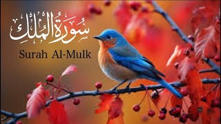 Surah mulk | Surah mulk with urdu translation | surah mulk abdul rahman mossad