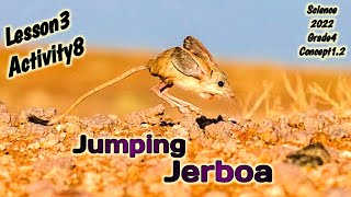 ساينس رابعه ابتدائي Science grade4 2022 Concept1.2 Lesson3 activity8 Jumping Jerboa