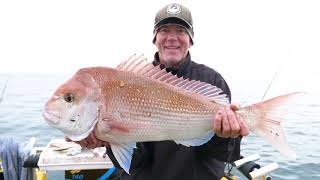 WINTER SNAPPER Crazy Bite Melbourne's Port Phillip Bay