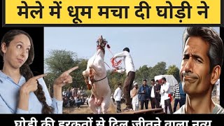 मेले में धूम मचा दी घोड़ी ने | दिल जीतने वाला डांस | Horse Dance | Indian horse festival