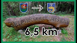 Pasivaikščiojimas Žvėrinčiaus miško takais | Walk Along The Trails of Žvėrinčius Forest