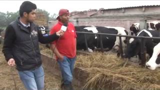 VisMoTV Ordeña de Leche