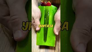 Шокирующие факты #факты