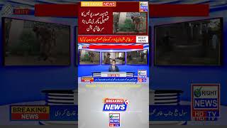 Major Search Operation at Shahpur Court #sargodha #searchoperation #sargodhapolice