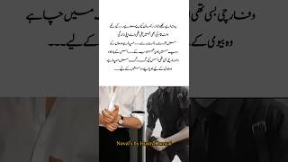 Abuzar❤️ Dhadakte dil by Husny Kanwal romantic Urdu novel #trending #lovestory #love