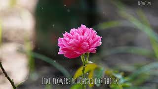 Beauty of Flowers| Words of Motivation @N-JoyTime