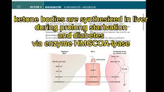 ketone bodies page 90| fcps part-1 preparation forum|first aid USMLE|fcps question bank