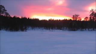 Shortest Day Of The Year* In Kaamanen, Inari