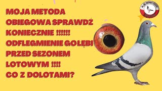 Moja metoda obiegowa sprawdź koniecznie, odflegmienie gołębi przed sezonem lotowym,co z do lotami?