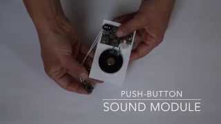 How to Program the Push Button Sound Module from Invite by Voice