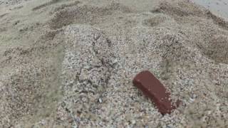 Thousands of little crabs on the Siung Beach, Yogyakarta, Indonesia