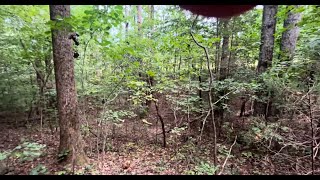 THIS IS VERY STRANGE TAKE A LOOK AT WHAT WAS CAPTURED  ON CAMERA DEEP IN THE WOODS!!