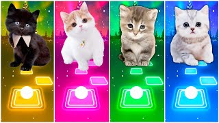 CUTE CATS - CUPID - ALAN WALKER FADED - LADY GAGA BLOODY MARY -  SUGAR TILES HOP EDM RUSH