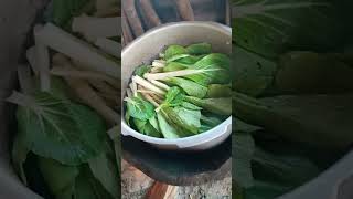 Fresh vegies from farm to cook "Nilagang Kalabaw"