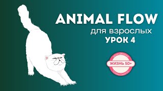 Как освоить animal flow. Паттерн дыхания