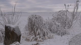 Raureif im Waldviertel