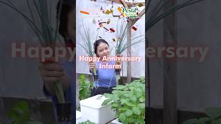 Happy Anniversary Infarm