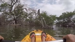 Флорида. Mangrove tunnels. Обломки кораблей после урагана. Ловлю местных монстров с кайака.