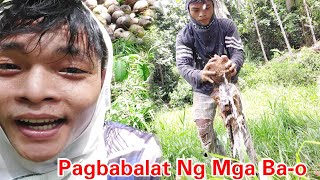 Pagbabalat Ng Mga Bao (Kill-eye Real Life Vlog)