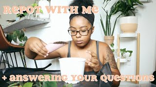 chatty repot with me | dropping out? my relationship? smoking?