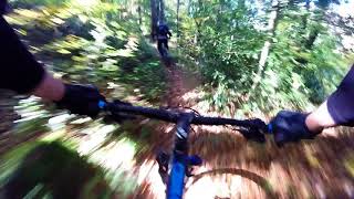 Renards et Combasse en enduro