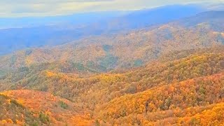 🌄 Awesome Fall Colors from Blowing Rock in Appalachian Mountains, North Carolina!🍂 Nov 4, 2024