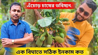 পশ্চিমবঙ্গে কাঁঠাল চাষের ভবিষ্যৎ কি। ১ বিঘা জাগাতে সঠিকভাবে কত টাকা ইনকাম করা সম্ভব.?