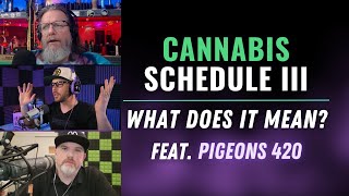 Marijuana Reclassification to Schedule III // What Does It Really Mean? (feat. @Pigeons420)