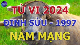 Tử Vi Nam Mạng Đinh Sửu 1997 Trong Năm 2024 | Phong Thủy Hoàng Đạo