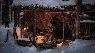 I Spent a FREEZING Winter Night in My Bushcraft Shelter