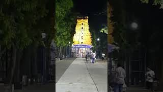 Srisailam Bramarambika Mallikarjuna swamy temple