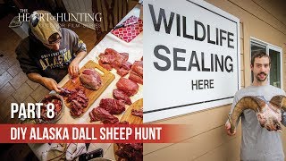 GETTING RAM SEALED & PROCESSING MEAT - DIY AK Dall Sheep Hunt (Part 8 of 8)