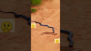 snake 🐍 bullying 😀 my viewers please like share subscribe ♥️