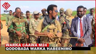 WARKA HABEENIMO M24 TV 29.11.2022