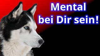 5 Fehler warum sich Dein Hund nicht an Dir orientiert!