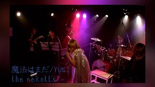 YUKI/魔法はまだ(cover.) the nekotts