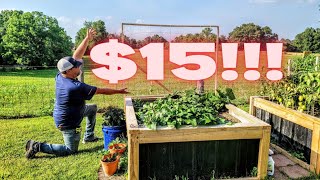 $15 Garden Trellis #cucumbertrellis #gardening